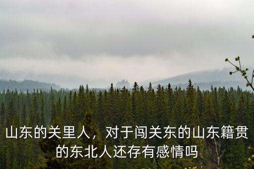 闖關(guān)東的山東人占東北人的多少,闖關(guān)東的山東人為啥叫東北人