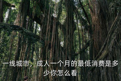 廣州最低消費是多少,你一個月最低消費大概是多少