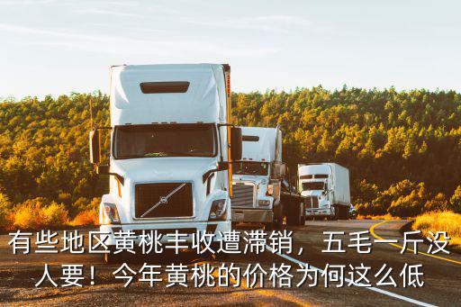 汕尾黃桃批發多少錢一斤,黃桃的價格現在多少錢一斤