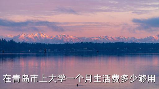 青島一個(gè)月生活費(fèi)多少,在青島一個(gè)月工資4500元