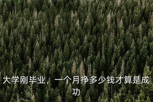 大學剛畢業(yè)，一個月掙多少錢才算是成功
