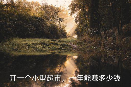杭州開超市利潤多少錢,開一個小型超市