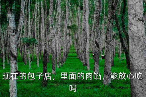 汕頭哪里的豬肉包好食,汕頭牛肉丸好吃在哪里