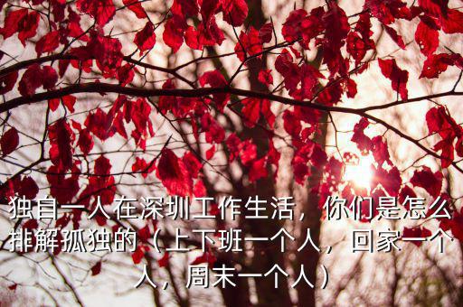 一個人怎么在深圳打工,一個人在深圳打拼