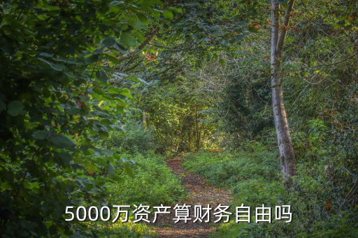 5000萬資產算財務自由嗎