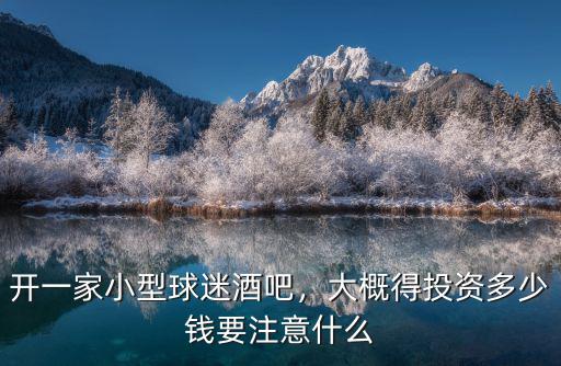青島開足球酒吧多少錢,大概得投資多少錢