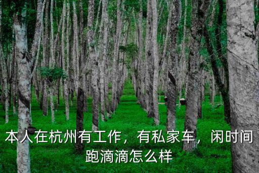 本人在杭州有工作，有私家車，閑時間跑滴滴怎么樣