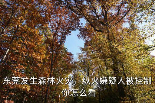 東莞哪里發生了大火,東莞發生森林火災