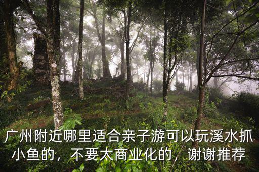 廣州哪里可以玩溪流,廣州附近哪里適合親子游