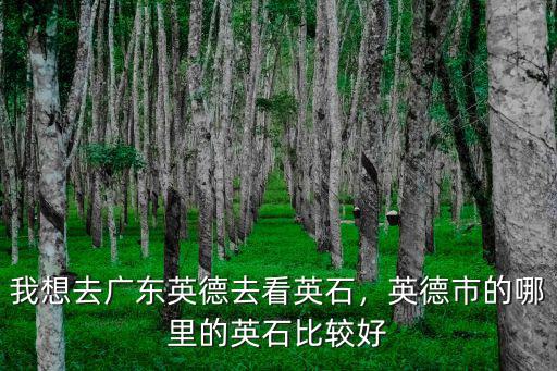 我想去廣東英德去看英石，英德市的哪里的英石比較好