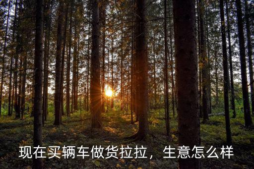 廣東哪里做貨拉拉,現在買輛車做貨拉拉