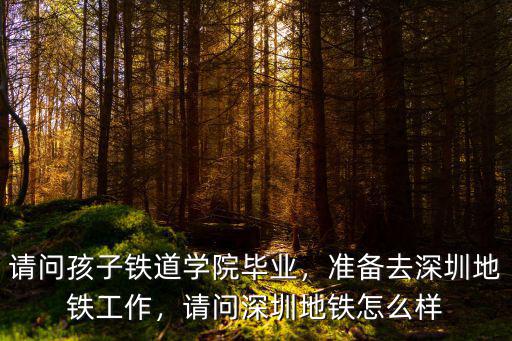 深圳地鐵的工作怎么申請,準(zhǔn)備去深圳地鐵工作