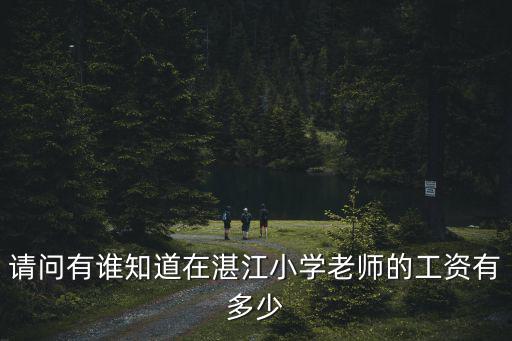 請問有誰知道在湛江小學老師的工資有多少