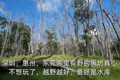 深圳哪里可以打海桿,深圳哪里可以釣到大魚