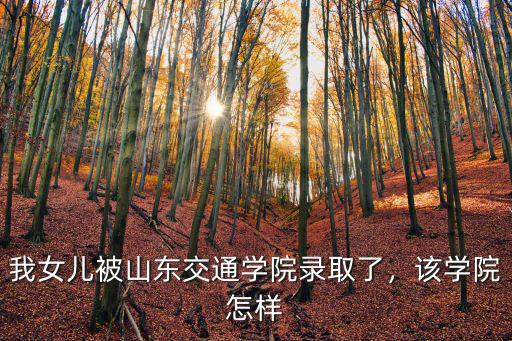 我女兒被山東交通學(xué)院錄取了，該學(xué)院怎樣