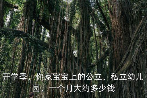溫州孩子幼兒園多少錢一個月多少錢,一個月大約多少錢