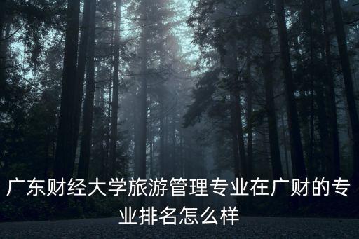廣東財經大學旅游管理專業在廣財的專業排名怎么樣