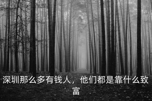 深圳這么多有錢人 他們怎么賺錢的,深圳那么多有錢人