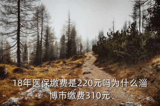 淄博城市職工2018年社保繳費多少,為什么淄博市繳費310元