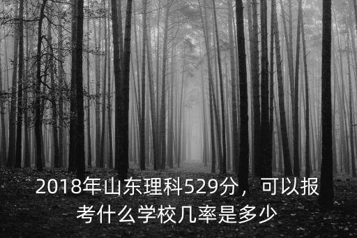 2018年山東理科529分，可以報考什么學校幾率是多少