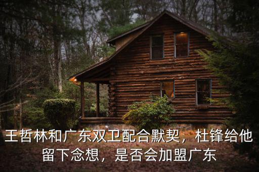 王哲林加盟廣東哪里人,王哲林加盟廣東