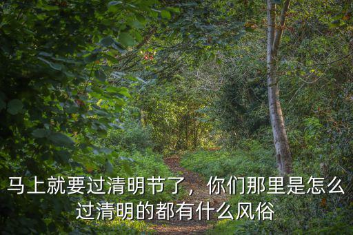 馬上就要過清明節了，你們那里是怎么過清明的都有什么風俗