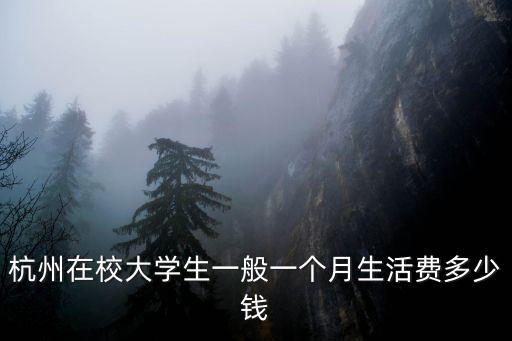 杭州在校大學(xué)生一般一個月生活費多少錢