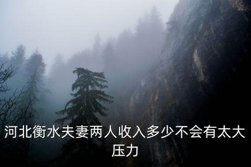 河北衡水夫妻兩人收入多少不會有太大壓力