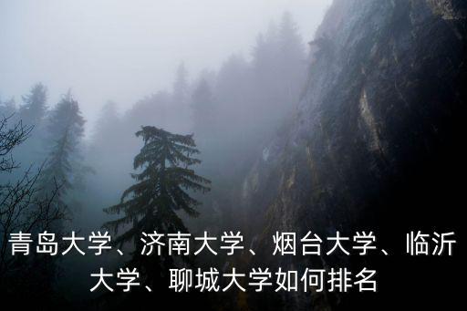 青島大學、濟南大學、煙臺大學、臨沂大學、聊城大學如何排名
