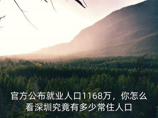 深圳面積有多少人口多少,深圳究竟有多少常住人口