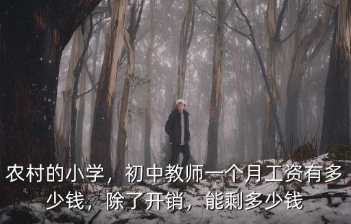 揭陽小學教師工資多少錢,一個月工資有多少