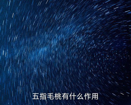 五指毛桃有什么作用