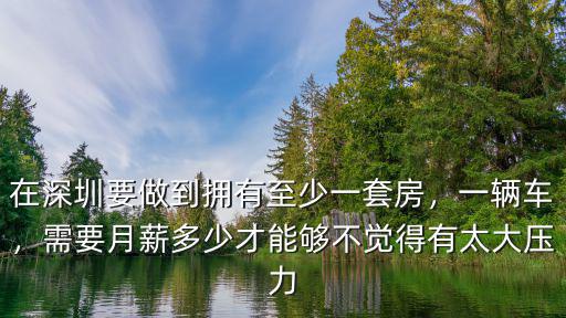 深圳月工資多少才可以買房,在深圳月工資一萬五