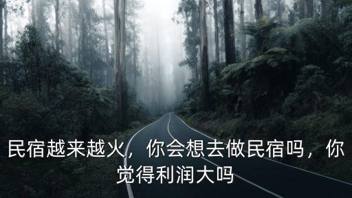 民宿越來越火，你會(huì)想去做民宿嗎，你覺得利潤大嗎