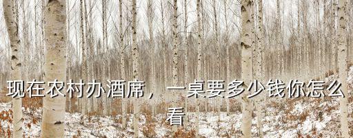 現在農村辦酒席，一桌要多少錢你怎么看