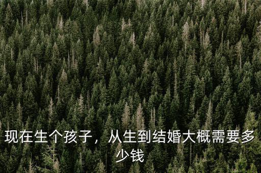 現在生個孩子，從生到結婚大概需要多少錢