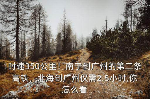 廣州高鐵至玉林有多少公里,玉林到廣州有高鐵嗎