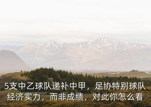 5支中乙球隊(duì)遞補(bǔ)中甲，足協(xié)特別球隊(duì)經(jīng)濟(jì)實(shí)力，而非成績(jī)，對(duì)此你怎么看