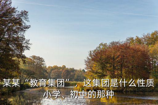某某“教育集團”，這集團是什么性質小學、初中的那種