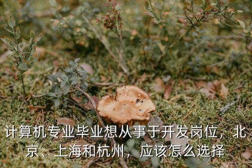 杭州剛畢業程序員工資多少,一般工資多少