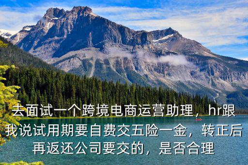深圳電商運營助理的工資多少,去面試一個跨境電商運營助理