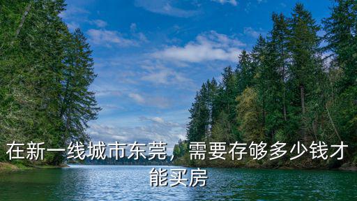 東莞買房準備多少錢,在新一線城市東莞