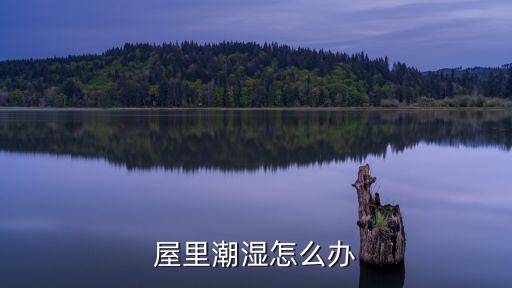 廣東屋內(nèi)的潮濕怎么辦,屋里潮濕怎么辦