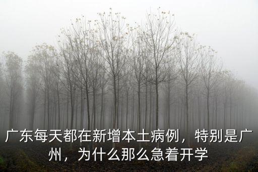 廣州本土新增病例多少,廣州為什么會有本土新增