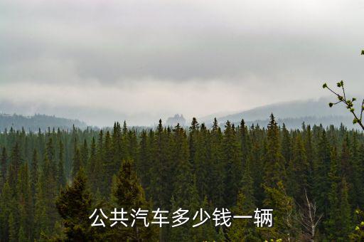 東營市一輛公交車要多少錢,公交車多少錢一輛