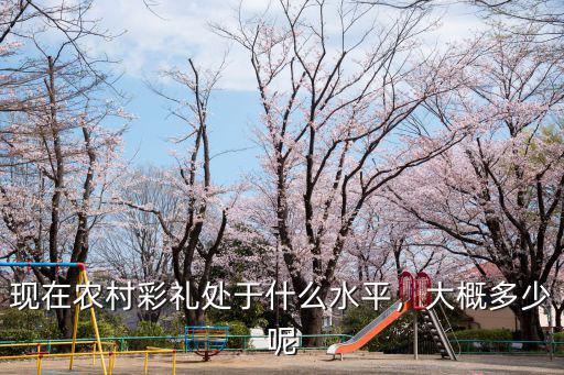 湛江農村彩禮一般給多少,農村彩禮錢一般給多少