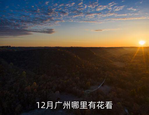 12月廣州哪里有花看