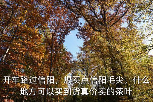 開車路過信陽，想買點信陽毛尖，什么地方可以買到貨真價實的茶葉