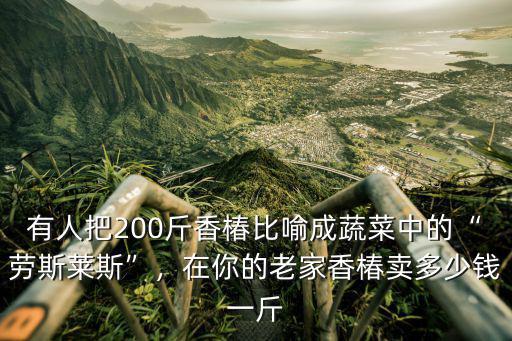 有人把200斤香椿比喻成蔬菜中的“勞斯萊斯”，在你的老家香椿賣多少錢一斤
