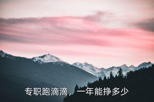 杭州跑滴滴一天能跑多少,一年能掙多少